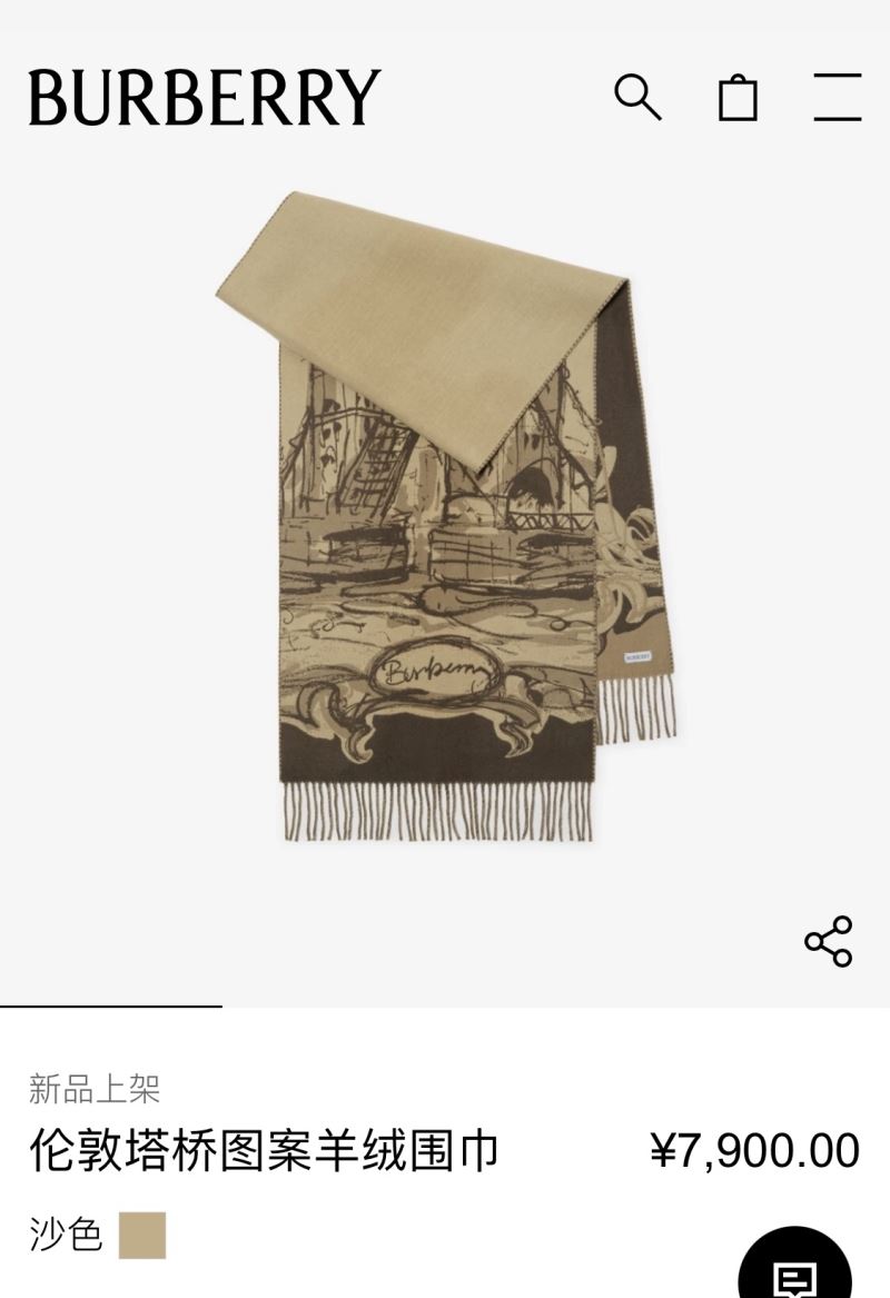 Burberry Scarf